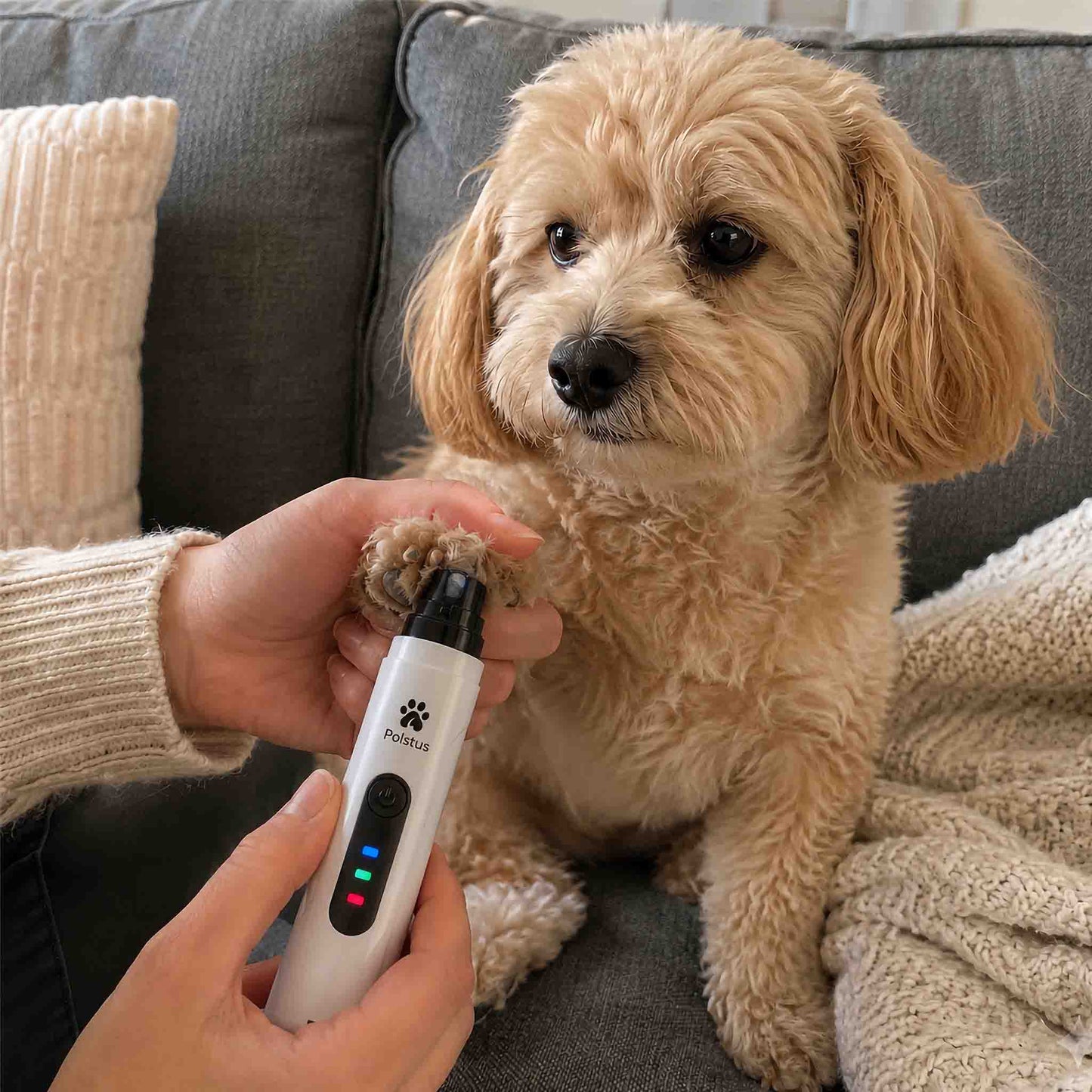 CalmPaw Pro Nail Trimmer For Anxious Dogs