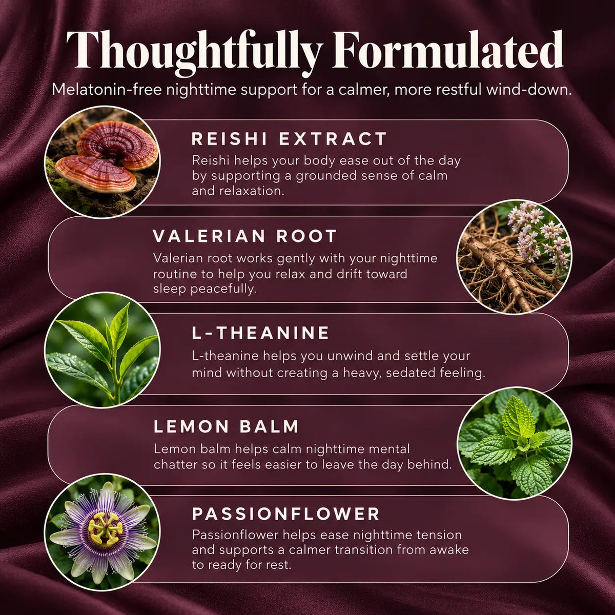 Night Reset Reishi Sleep Gummies