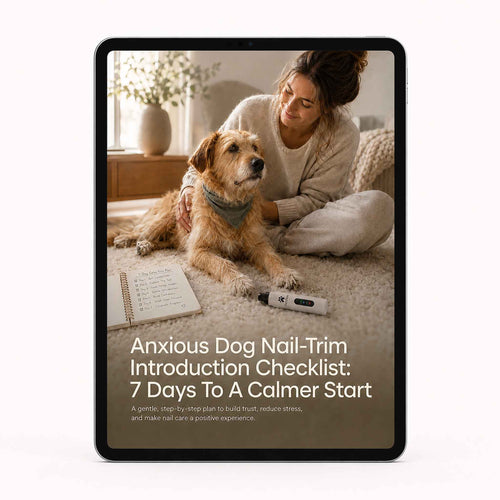 Anxious Dog Nail Trim Guide